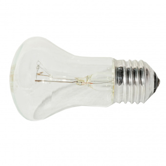 Лампа накаливания ЛОН прозрачная Е27 95Вт манж.