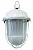 Светильник НСП 02-100-002.01 У2 с/р, стекло, крюк (IP52) TDM
