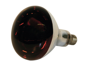 Лампа накаливания Е27 ИКЗК 250Вт 220В R127 красная ( кратно 15шт) TDM
